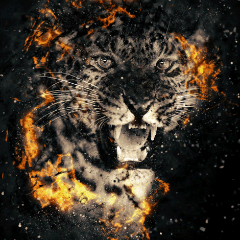 Various Music Projects — project artwork 3